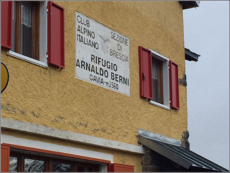 Gavia (7)